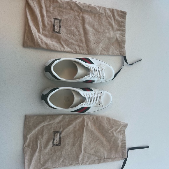 Gucci Men's Ace Sneaker - Great Condition - Picture 1 of 3